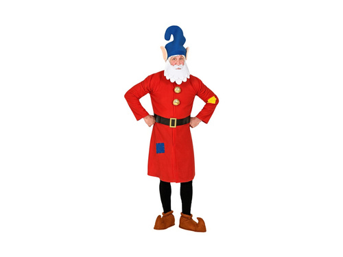 Costum gnom