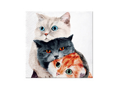 Șervețele pentru pisici - 33 cm - 20 buc.