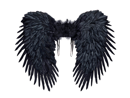 Aripi de înger negre - 80 x 65 cm - 1 buc.