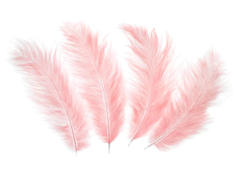 Pene decorative de piersici lungi - 50 buc.