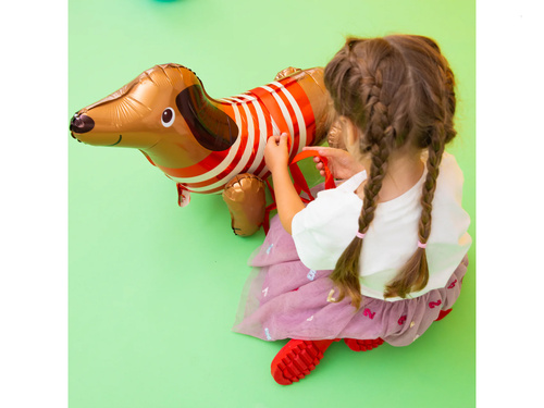 Balon din folie Teckel - 68 x 43 cm - 1 buc.