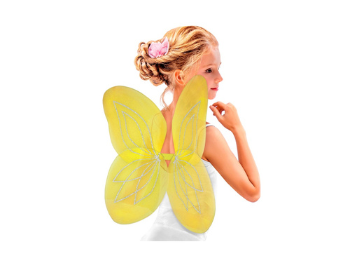 Aripi galbene 58×46 cm