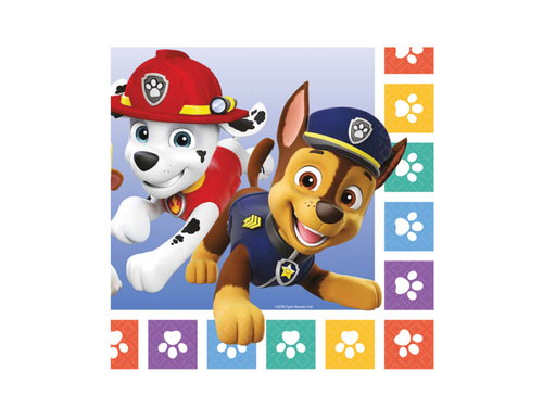 Set aniversar Psi Patrol - 33 buc.