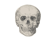 Șervețele de hârtie Czacha - 16 x 16 cm - 16 buc.