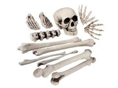 Set zaruri craniu - 12 buc.