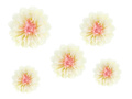 Decoratiuni din hartie de tesut Flori - 30 cm - 5 buc.