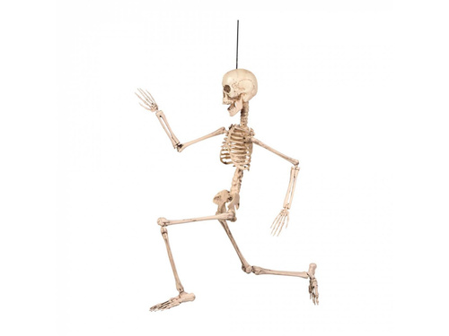 Decor suspendat Schelet - 50 cm - 1 buc.