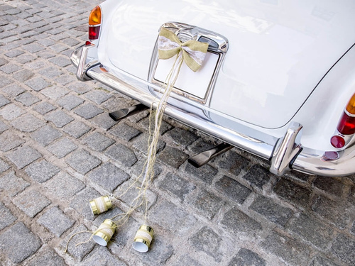 Set de decorațiuni auto Bows - 5 elemente.