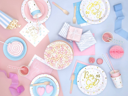 Farfurii băiat sau fată pentru Baby Shower - 23 cm - 6 buc.