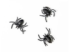 Păianjeni negri din plastic pentru Halloween - 10 buc.