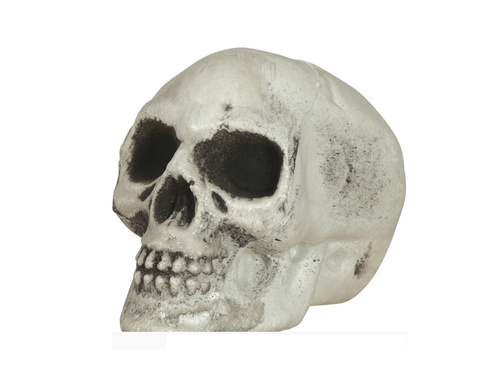 Cranii de Halloween - 8 cm - 6 buc.