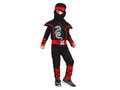 Ninja Dragon costum