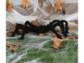 Spider decor - 60 cm