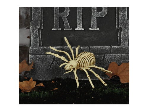 Spider Skeleton decor - 24 cm - 1 buc.