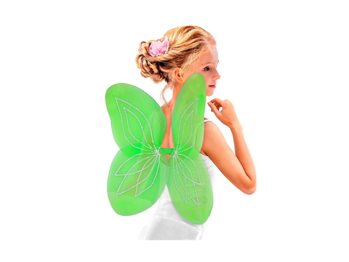 Aripi verzi 58×46 cm