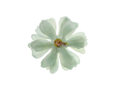 Petale de flori verzi - 12 buc.