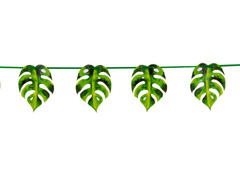 Ghirlandă Tropical Leaves - 300 cm - 1 buc.