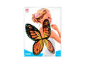 Aripi de fluture negre, portocalii și galbene pentru copii 66×38 cm