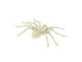 Spider Skeleton decor - 24 cm - 1 buc.