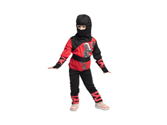 Ninja Warrior costum