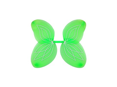 Aripi verzi 58×46 cm