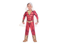 Costum Shazam! pentru un băiat