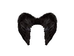 Aripi cu pene negre 50×40 cm