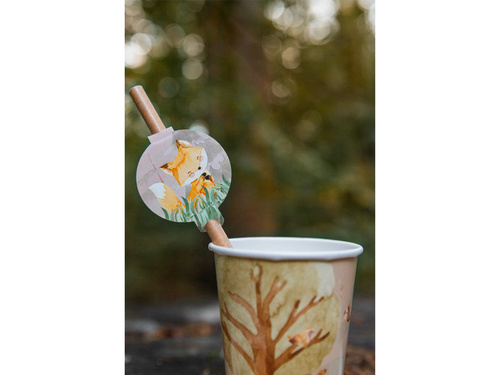 Paie pentru ziua de naștere Animale de pădure - 6 buc.