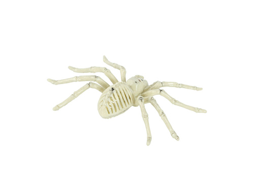 Spider Skeleton decor - 24 cm - 1 buc.