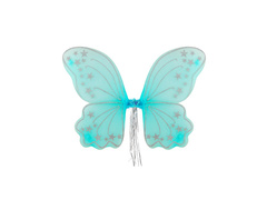 Turquoise Fantasy Wings 50×45 cm