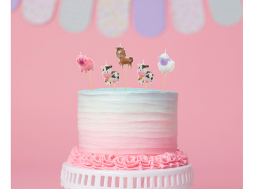 Lumânări de picnic agricole - 5 buc.