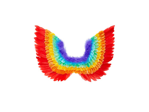 Aripi de pene curcubeu 60×40 cm