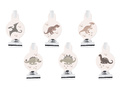 Fluierături de trompetă derulate dinozauri - 6 buc