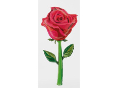 Balon din folie cu trandafir roșu - 166 cm - 1 buc.