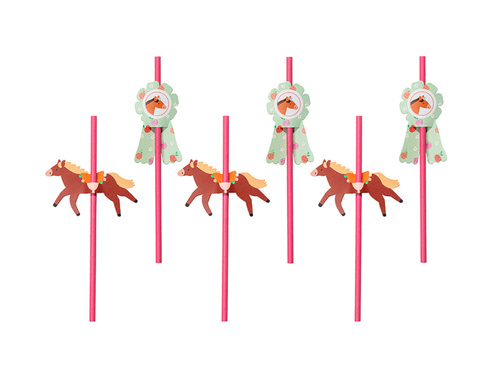 Paie Ziua de naștere Cai - 6 buc.