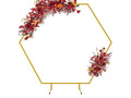 Cadru hexagonal auriu pentru baloane - 200 x 200 cm - 1 buc.