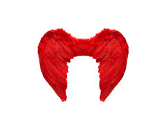 Aripi cu pene roșii 50×40 cm