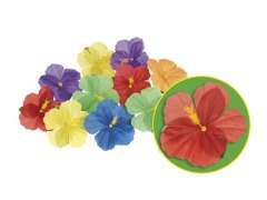 Petale de flori de Hibiscus - colorate - 24 buc.