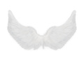 Set de aripi de înger alb 62 x 38 cm și Aureole