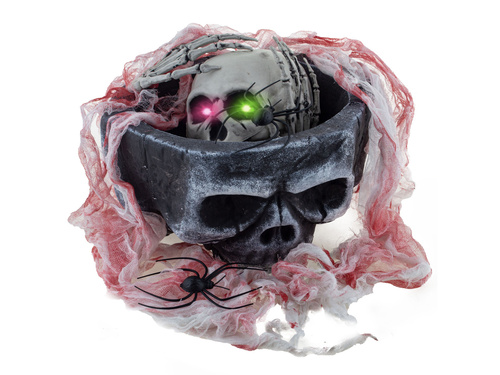 Bol craniu schelet - 1 buc.