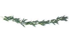 Ghirlandă din frunze de salcie - 200 cm - 1 buc.