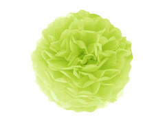 Decorațiuni florale suspendate pom pom - verde - 35 cm - 1 buc.