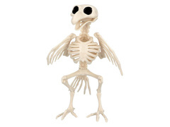 Skeleton Dragon decor - 20 cm - 1 buc.