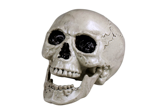 Craniu de Halloween cu falcă mobilă - 20 cm - 1 buc.