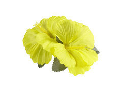 Pin floare hawaiiană galben - 1 buc.