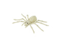 Spider Skeleton decor - 24 cm - 1 buc.