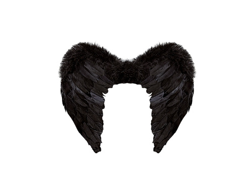 Aripi cu pene negre 50×40 cm