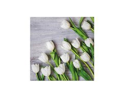 Șervețele albe cu lalele - 33 cm - 20 buc.