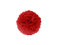Decorațiuni florale suspendate pom pom - roșu - 15 cm - 1 buc.
