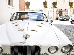 Set de decorațiuni auto Bows - 5 elemente.